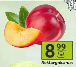 Hitpol Nektarynka Hitpol oferta