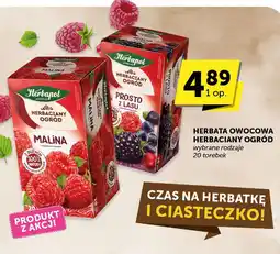 ABC Herbata owocowa Herbaciany Ogród Herbapol oferta