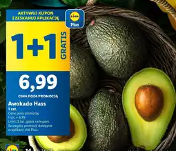 Lidl Awokado Hass Lidl oferta