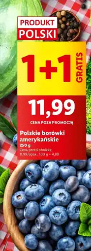 Lidl Borówki amerykańskie Lidl oferta