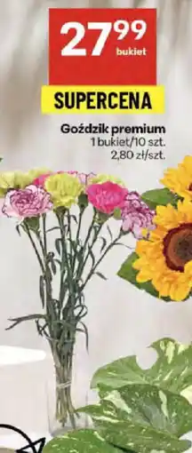 Delikatesy Centrum Goździk premium oferta
