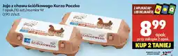 Delikatesy Centrum Jajka Kurza Paczka z chowu ściółkowego oferta