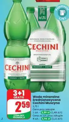 Dino Woda mineralna średnionasycona Cechini Muszyna oferta