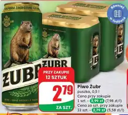 Dino Piwo ŻUBR oferta