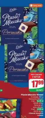 Dino Ptasie Mleczko WEDEL oferta