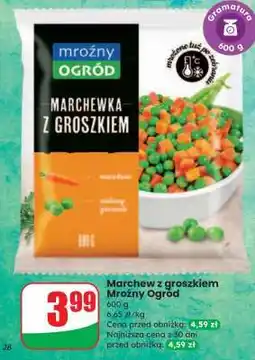 Dino Marchew z groszkiem Mroźny Ogrod oferta