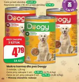 Dino Mokra karma dla psa Doogy oferta