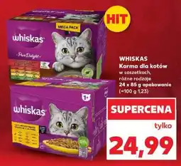 Kaufland WHISKAS Karma dla kotów oferta