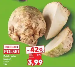 Kaufland Polski seler korzeń luzem 1 kg oferta