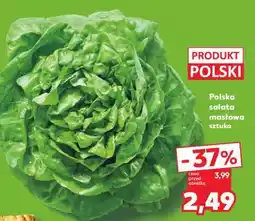 Kaufland Polska sałata masłowa sztuka oferta