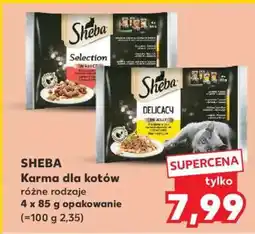 Kaufland SHEBA Karma dla kotów oferta