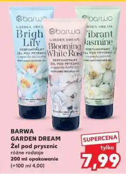 Kaufland BARWA GARDEN DREAM oferta