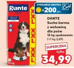 Kaufland DANTE Sucha karma z wołowiną dla psów 13 kg opakowanie oferta