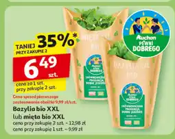 Auchan Bazylia bio XXL lub mięta bio XXL Auchan oferta