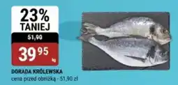 bi1 Dorada królewska oferta