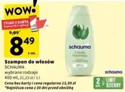 Intermarche Szampon do włosów oferta