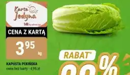 bi1 Kapusta pekińska oferta