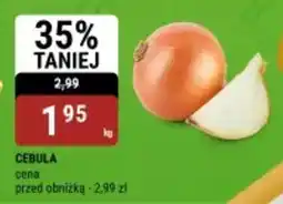bi1 Cebula oferta