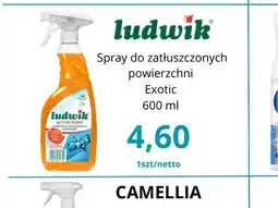 Triomen Ludwik Spray do zatłuszczonych powierzchni oferta