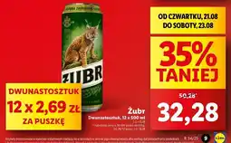 Lidl Piwo Żubr 1768 oferta