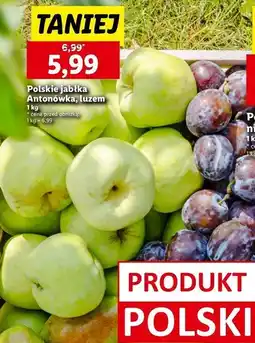 Lidl Jabłko antonówka oferta