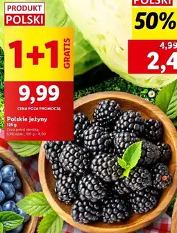 Lidl Jeżyny polska oferta