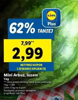 Lidl Arbuz mini oferta