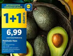 Lidl Awokado hass oferta