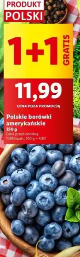 Lidl Borówki amerykańskie oferta