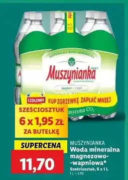 Lidl Woda gazowana Muszynianka oferta