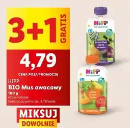 Lidl Mus jabłka-gruszki-dynia Hipp Hippis oferta