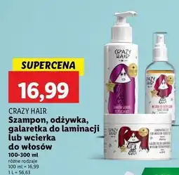 Lidl Wcierka do skóry głowy lawenda Crazy Hair oferta