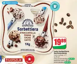 Dino Lody sorbettiera stracciatella panna cacao caffe Sammontana oferta