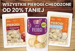 Dino Pierogi z mięsem Nowy Wiśnicz oferta
