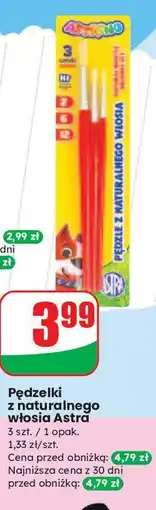 Dino Pędzelki Astra oferta