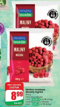 Dino Maliny Mroźny Ogród oferta