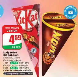 Dino Rożek Lion oferta