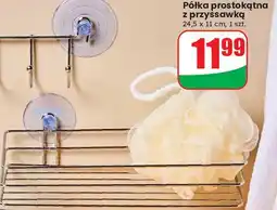 Dino Półka z przyssawką 24.5 x 11 cm oferta