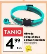Intermarche Obroża odblaskowa dla psa oferta