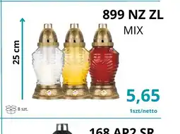 Triomen Znicz oferta