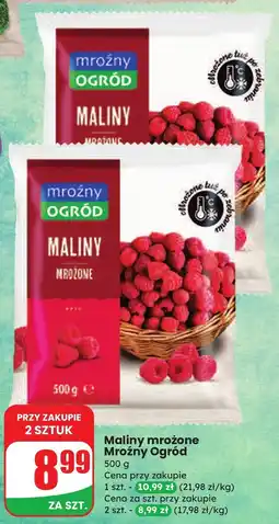 Dino Maliny mrożone Mroźny Ogród oferta