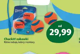 Maxi Zoo Chuckit! zabawki oferta