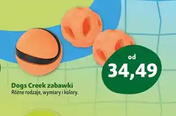 Maxi Zoo Dogs Creek zabawki oferta