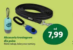 Maxi Zoo Akcesoria treningowe dla psów oferta