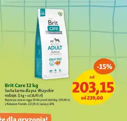 Maxi Zoo Brit Care oferta