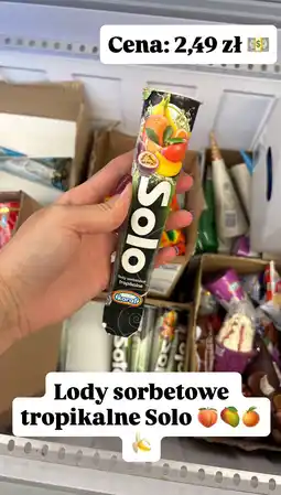 Dino Lody sorbetowe tropikalne Koral oferta