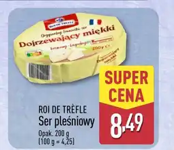 ALDI Ser pleśniowy oferta