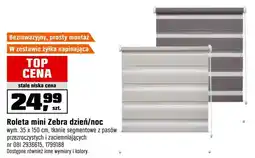 OBI Roleta oferta