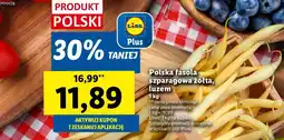 Lidl Fasolka szparagowa Plus-Plus oferta