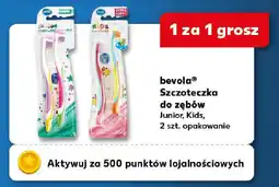 Kaufland Bevola Szczoteczka do zębów oferta
